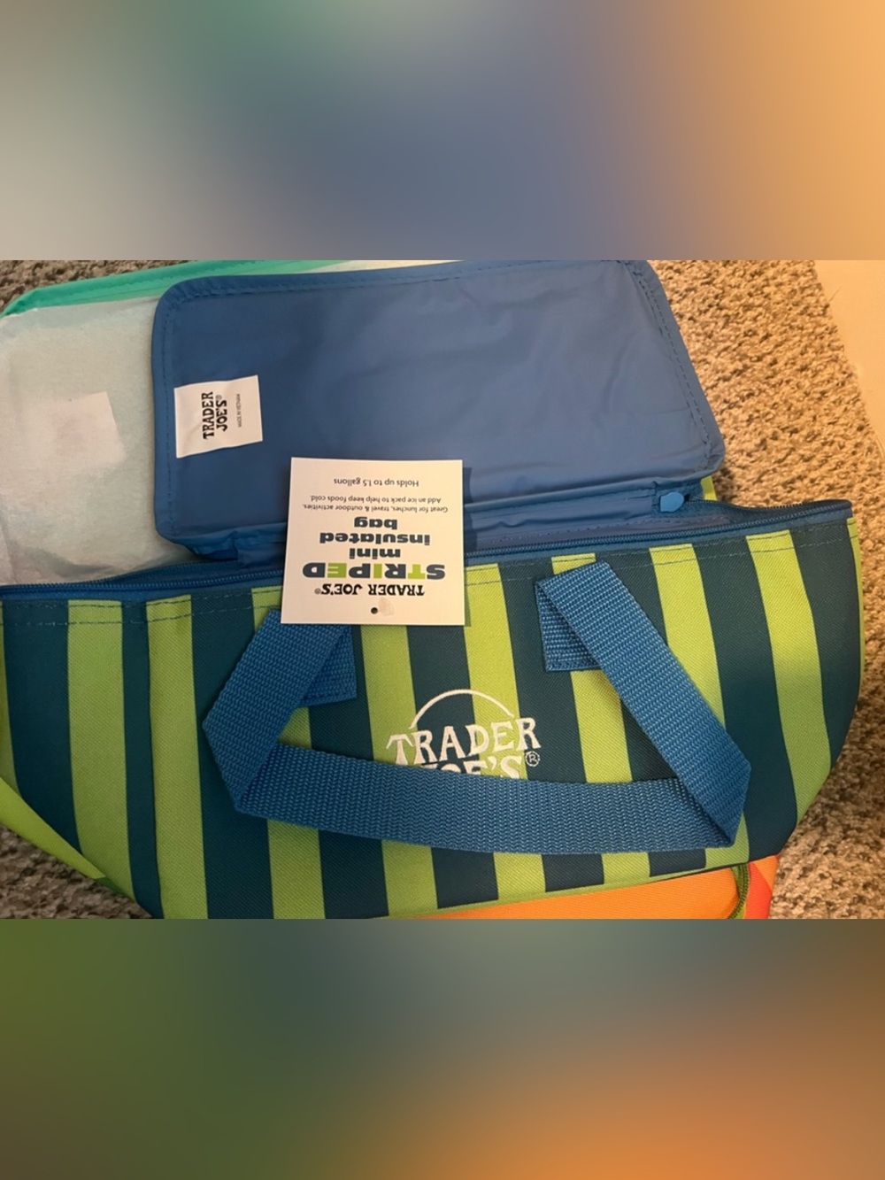 Trader Joe's Striped Insulated Lunch Bag - Blue & Lime